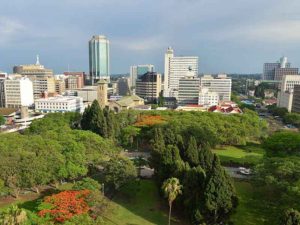 Zimbabwe Branch Zimbabwe image