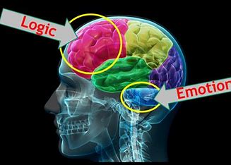 logic-versus-emotion
