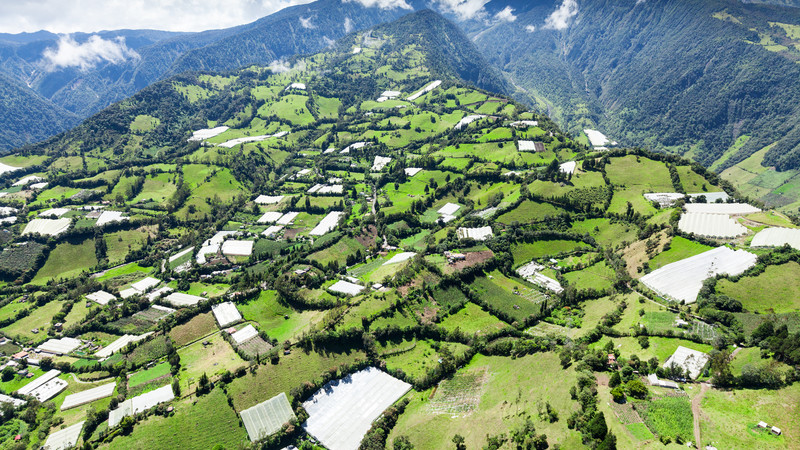 Ecuador